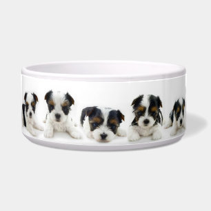 食糧ボール- Biewerテリアの子犬 ボウル