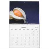 食糧 + 写真撮影2010年 カレンダー (1月 2027)