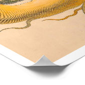 食虫変態スリヌメシウムプリント ポスター (角)