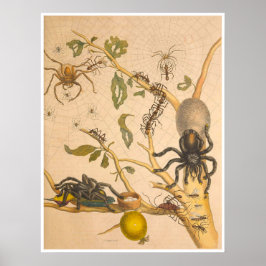 食虫変態スリヌメシウムプリント ポスター