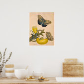 食虫変態スリヌメシウムプリント ポスター (キッチン)