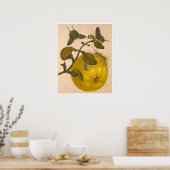 食虫変態スリヌメシウムプリント ポスター (キッチン)