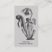 食虫植物の子供部屋 名刺 (裏面)