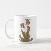 食虫植物-サラセニアのpsittacinaの広告宣伝 コーヒーマグカップ (左)