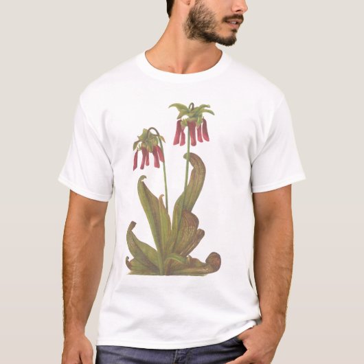 食虫植物-サラセニアのpsittacina tシャツ (正面)
