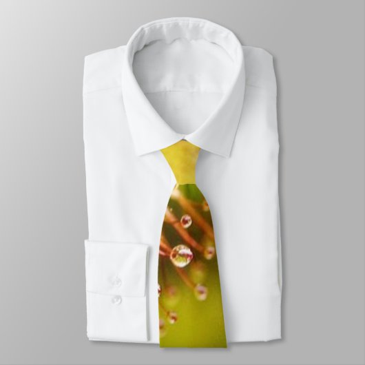 食虫植物 ネクタイ (タイ)