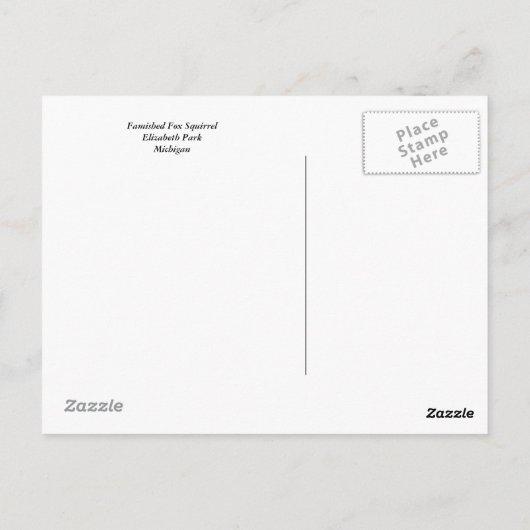 飢えたキツネリス ポストカード (裏面)