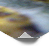 飢えたキャベツホワイトキャタピラープリント ポスター (角)