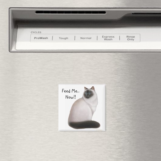 飢えたヒマラヤ猫の磁石 マグネット (インサイチュ (食洗機))