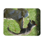 飢えたリスとバニーの彫像の磁石 マグネット (横)