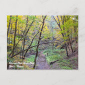 飢えた岩のはがき ポストカード (正面)