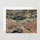 飢えた岩のはがき ポストカード (正面/裏面)