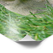 飢えた空腹のチムンク フォトプリント            (角)