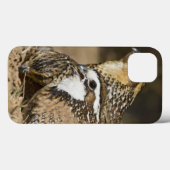 飲み物のための池の北のコリンウズラのベビー Case-Mate iPhoneケース (裏面 (横))