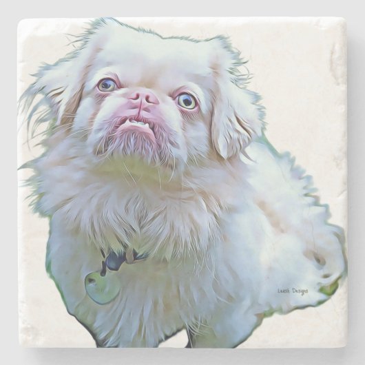 飲み物用コースターレミー！ ストーンコースター (正面)