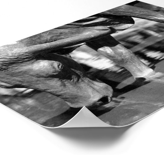 飲むロングホーン ポスター (角)