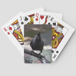 飲む鳥遊のカードの標準指数 トランプ