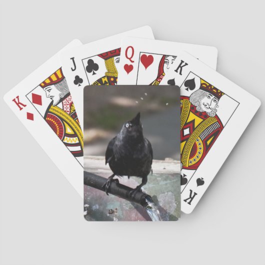 飲む鳥遊のカードの標準指数 トランプ (裏面)