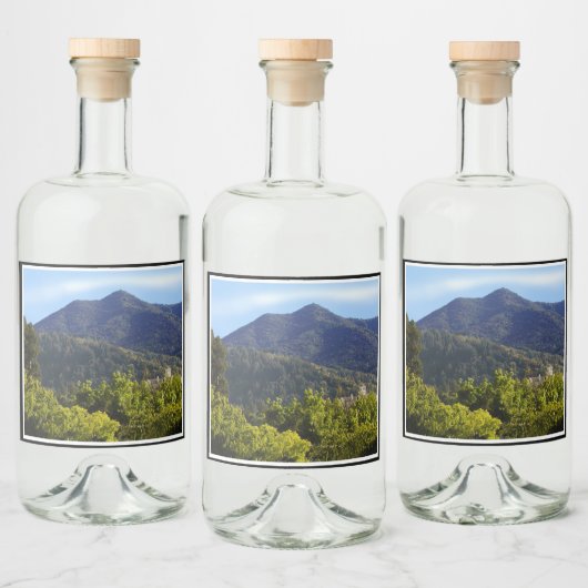 飲食物ラベルセットタマルパイス教会 リキュールボトルラベル (ボトル)