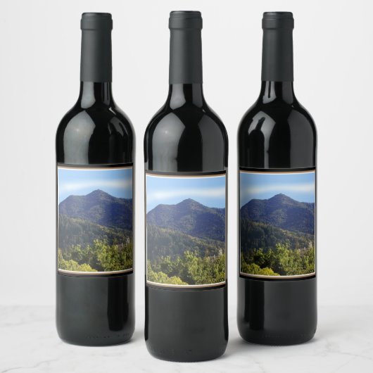 飲食物ラベルセットタマルパイス教会 ワインラベル (ボトル)