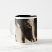 飼いならされたイギリスの高山のヤギ(子供)。 黒 ツートーンマグカップ (正面左)