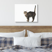 飼い主プロフィール： キャンバスプリント (インサイチュ (寝室))