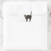 飼い主プロフィール： スクエアシール (バッグ)