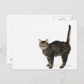 飼い主プロフィール： ポストカード (正面/裏面)