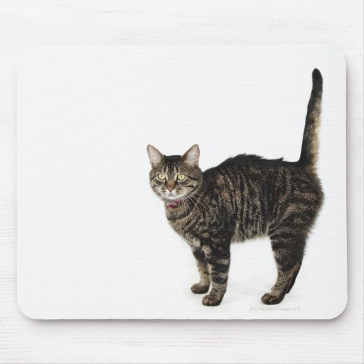 飼い主プロフィール: マウスパッド (正面)