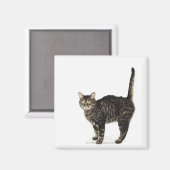 飼い主プロフィール： マグネット (正面/裏面)