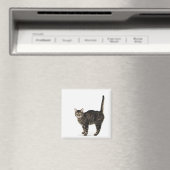 飼い主プロフィール： マグネット (インサイチュ (食洗機))