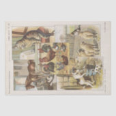 飼い慣らし家畜コレクション一時的な切り離し 薄葉紙 (正面)