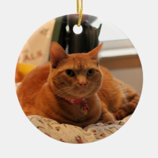 飼い慣らす猫 セラミックオーナメント (正面)