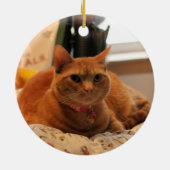 飼い慣らす猫 セラミックオーナメント (裏面)