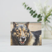 飼い犬がカメラを信頼するように見つめている。 ポストカード (スタンド正面)