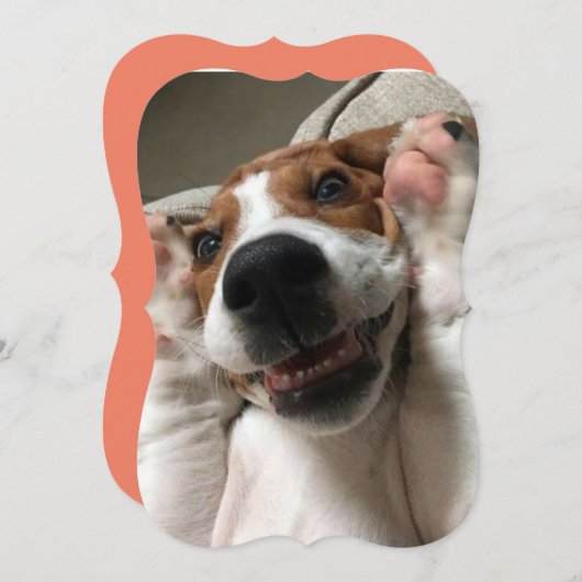 飼い犬のぞき ノートカード (正面/裏面)