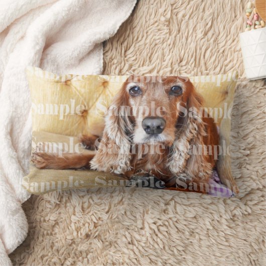 飼い犬のネコ科の写真|は個人化なります ランバークッション (ブランケット)