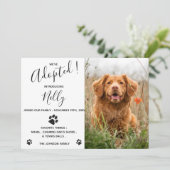 飼い猫の新登場ペット 招待状 (スタンド正面)