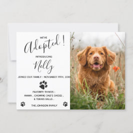 飼い猫の新登場ペット 招待状