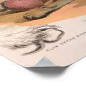 飼い猫の解剖学を修復 ポスター (角)