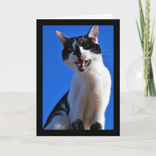 飼い猫の雄叫び カード (正面)