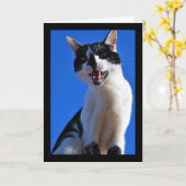 飼い猫の雄叫び カード (黄色い花)