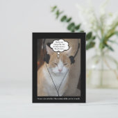 飼い猫は一日中何をするのか。 ポストカード (スタンド正面)