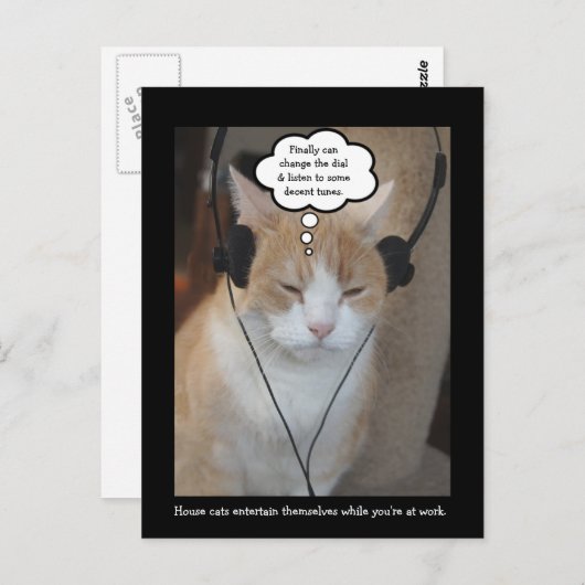 飼い猫は一日中何をするのか。 ポストカード (正面/裏面)