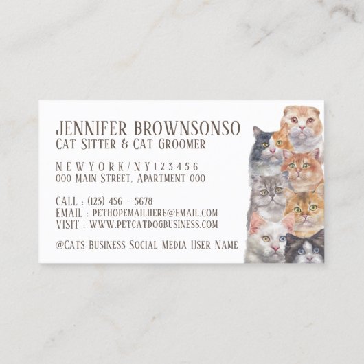 飼い猫ペット 名刺 (裏面)