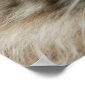 飼い猫 ポスター (角)