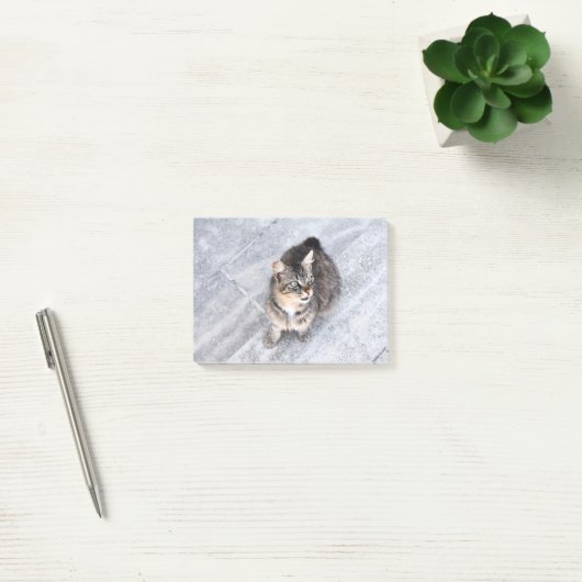 飼い猫 ポストイット (オフィス)