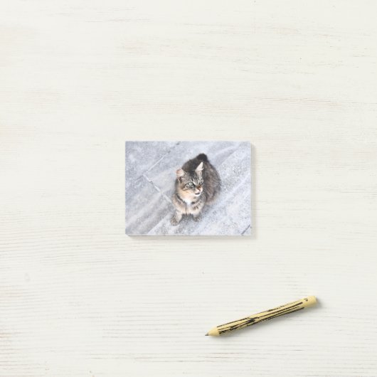 飼い猫 ポストイット (デスク上)