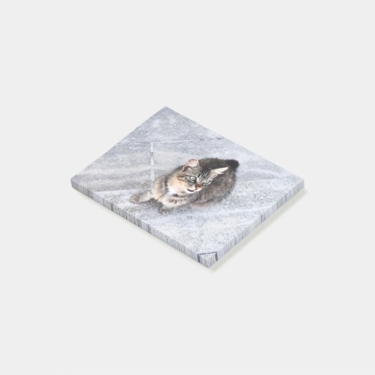 飼い猫 ポストイット (アングル)