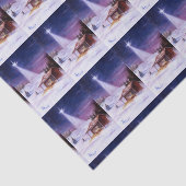 飼い葉桶で遠くに 薄葉紙 (詳細)